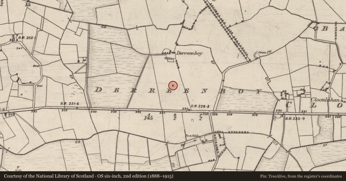 Ordnance Survey six-inch map, 2nd edition (1888–1915) covering the location of Enclosure, Derreenboy, County Galway, with a pin at the register's coordinates