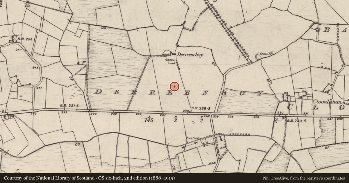 Ordnance Survey six-inch map, 2nd edition (1888–1915) covering the location of Burial, Derreenboy, County Galway, with a pin at the register's coordinates