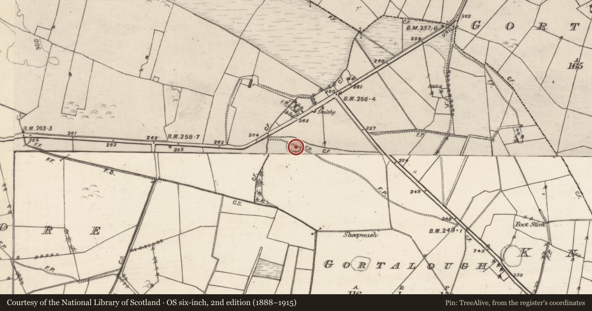 Ordnance Survey six-inch map, 2nd edition (1888–1915) covering the location of Ringfort - rath, Gortalough, County Galway, with a pin at the register's coordinates
