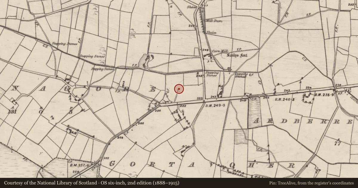 Ordnance Survey six-inch map, 2nd edition (1888–1915) covering the location of Quarry, Gortavoher, County Galway, with a pin at the register's coordinates