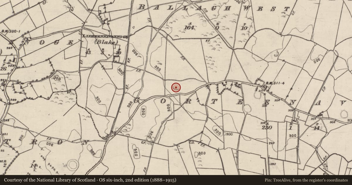 Ordnance Survey six-inch map, 2nd edition (1888–1915) covering the location of Ringfort - rath, Gorteenaveela, County Galway, with a pin at the register's coordinates