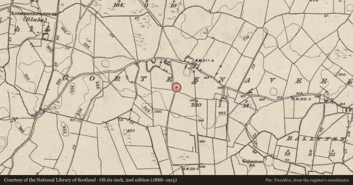 Ordnance Survey six-inch map, 2nd edition (1888–1915) covering the location of Ringfort - rath, Gorteenaveela, County Galway, with a pin at the register's coordinates