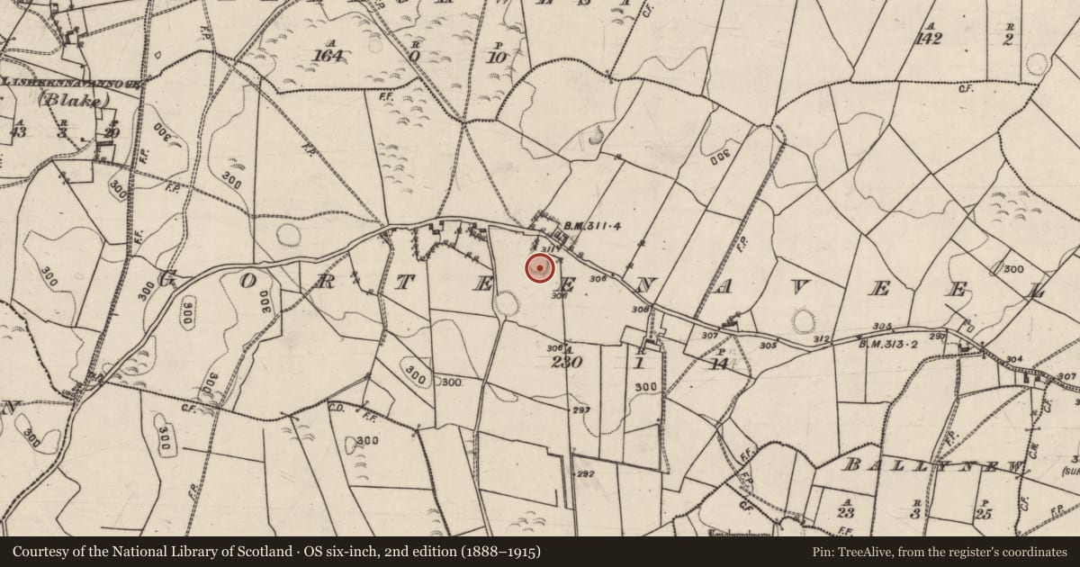 Ordnance Survey six-inch map, 2nd edition (1888–1915) covering the location of Ringfort - rath, Gorteenaveela, County Galway, with a pin at the register's coordinates