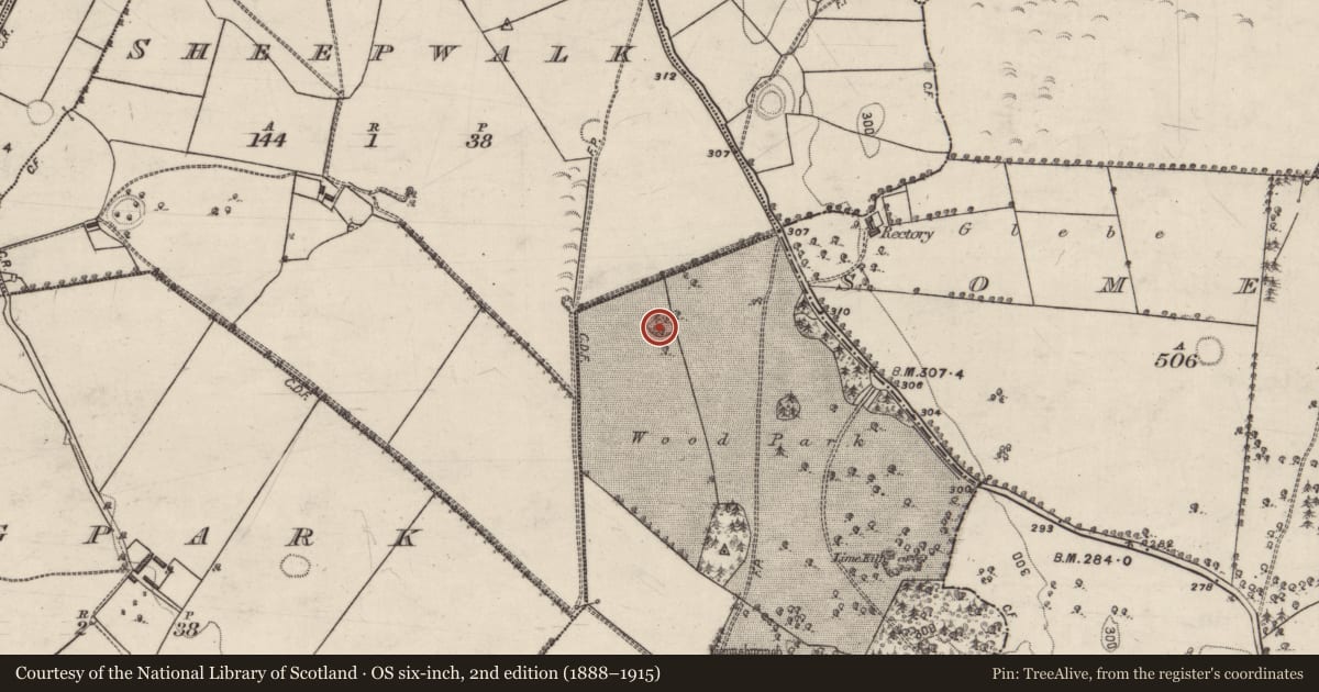 Ordnance Survey six-inch map, 2nd edition (1888–1915) covering the location of Ringfort - unclassified, Gortnamona, County Galway, with a pin at the register's coordinates