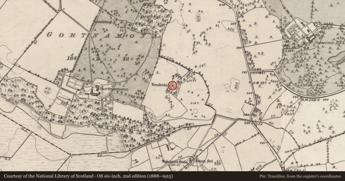 Ordnance Survey six-inch map, 2nd edition (1888–1915) covering the location of Ringfort - rath, Gortnamona, County Galway, with a pin at the register's coordinates