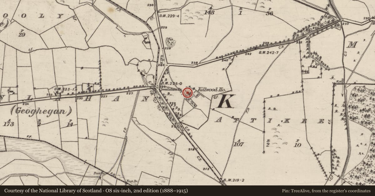 Ordnance Survey six-inch map, 2nd edition (1888–1915) covering the location of House - 18th/19th century, Gortnaraheen, County Galway, with a pin at the register's coordinates