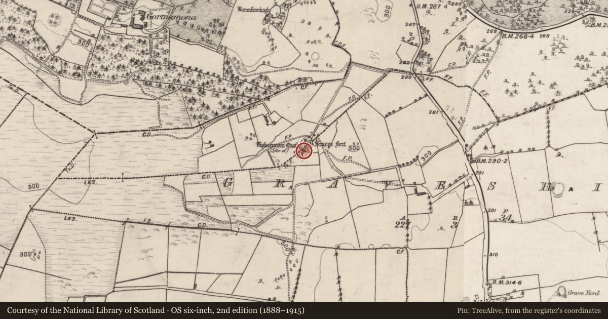Ordnance Survey six-inch map, 2nd edition (1888–1915) covering the location of Castle - unclassified, Graveshill, Somerset, County Galway, with a pin at the register's coordinates