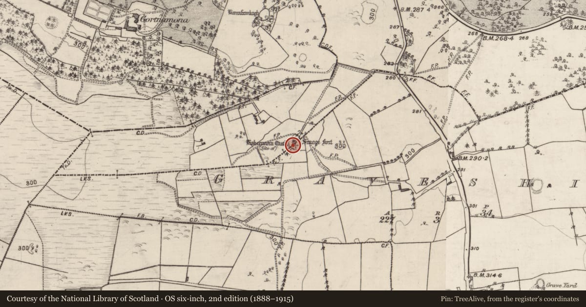 Ordnance Survey six-inch map, 2nd edition (1888–1915) covering the location of Enclosure, Somerset, Graveshill, County Galway, with a pin at the register's coordinates
