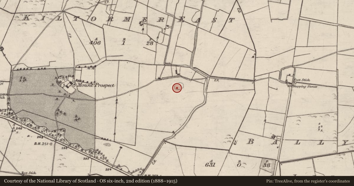 Ordnance Survey six-inch map, 2nd edition (1888–1915) covering the location of Ringfort - rath, Kiltormer East, County Galway, with a pin at the register's coordinates
