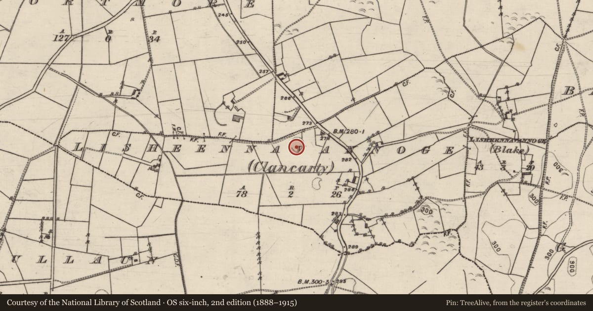 Ordnance Survey six-inch map, 2nd edition (1888–1915) covering the location of Ringfort - rath, Lisheennavannoge (Clancarty), County Galway, with a pin at the register's coordinates