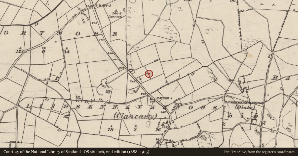 Ordnance Survey six-inch map, 2nd edition (1888–1915) covering the location of Enclosure, Liskelly, County Galway, with a pin at the register's coordinates