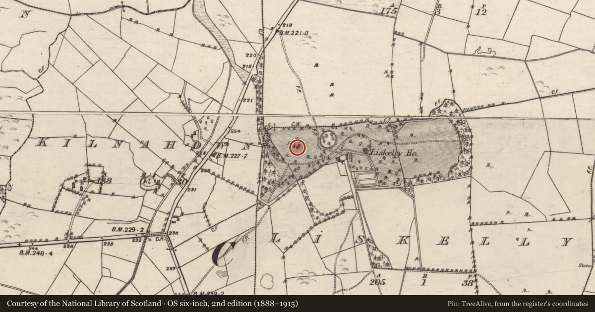 Ordnance Survey six-inch map, 2nd edition (1888–1915) covering the location of Earthwork, Liskelly, County Galway, with a pin at the register's coordinates
