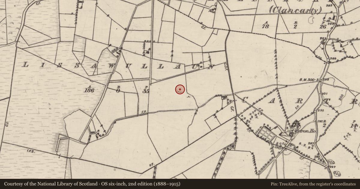 Ordnance Survey six-inch map, 2nd edition (1888–1915) covering the location of Ringfort - rath, Lissawullaun, County Galway, with a pin at the register's coordinates