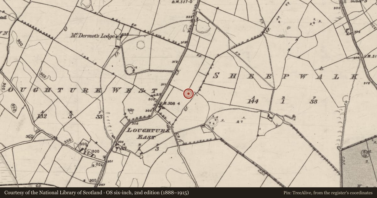 Ordnance Survey six-inch map, 2nd edition (1888–1915) covering the location of Ringfort - rath, Loughturk East, County Galway, with a pin at the register's coordinates