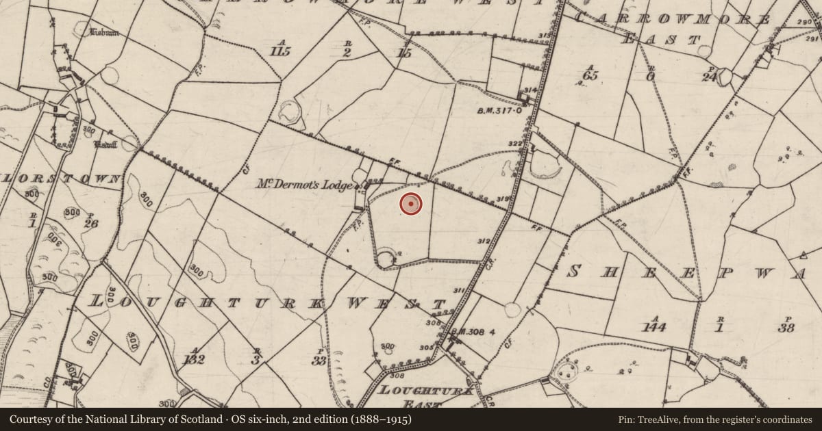 Ordnance Survey six-inch map, 2nd edition (1888–1915) covering the location of Ringfort - rath, Loughturk West, County Galway, with a pin at the register's coordinates