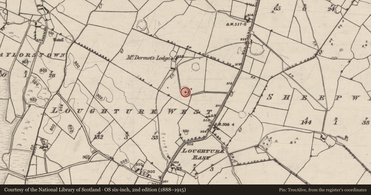 Ordnance Survey six-inch map, 2nd edition (1888–1915) covering the location of Ringfort - rath, Loughturk West, County Galway, with a pin at the register's coordinates