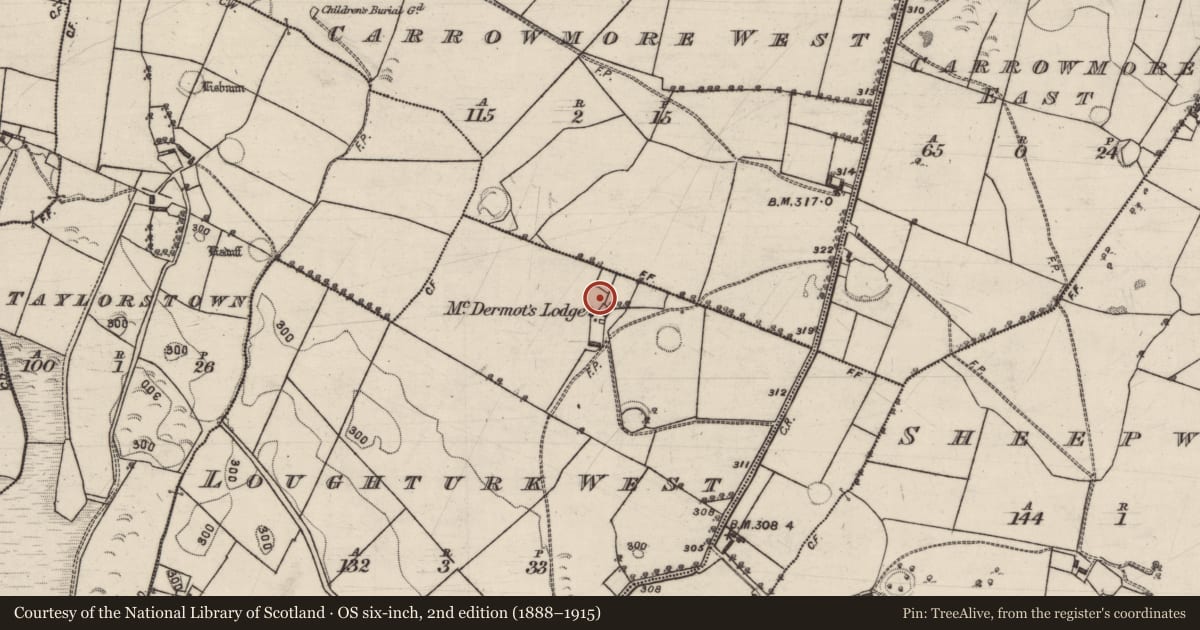 Ordnance Survey six-inch map, 2nd edition (1888–1915) covering the location of Ringfort - unclassified, Loughturk West, County Galway, with a pin at the register's coordinates