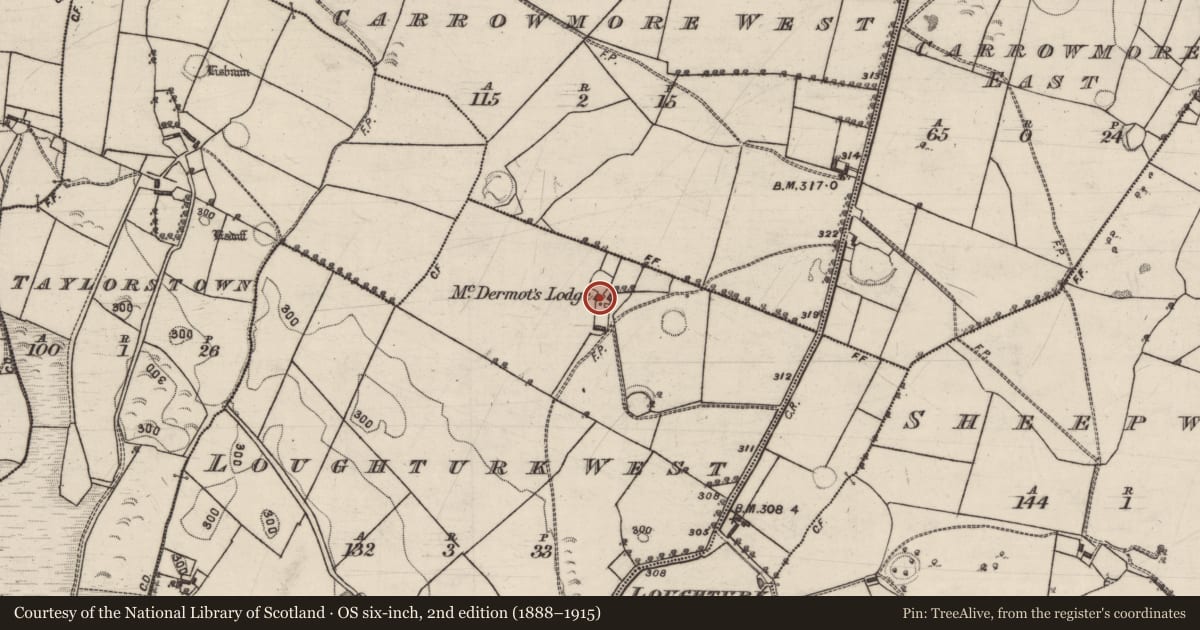 Ordnance Survey six-inch map, 2nd edition (1888–1915) covering the location of House - 18th/19th century, Loughturk West, County Galway, with a pin at the register's coordinates