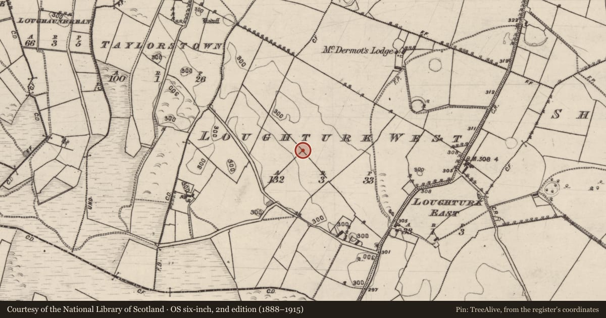 Ordnance Survey six-inch map, 2nd edition (1888–1915) covering the location of Enclosure, Loughturk West, County Galway, with a pin at the register's coordinates