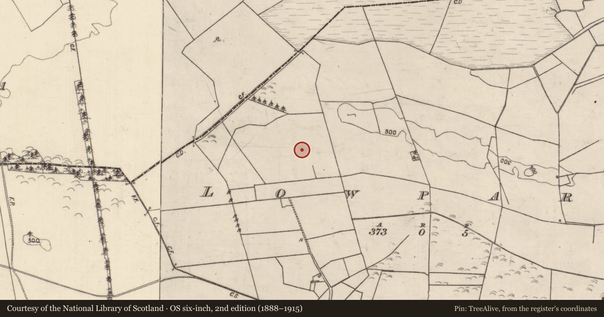 Ordnance Survey six-inch map, 2nd edition (1888–1915) covering the location of Quarry, Lowpark, County Galway, with a pin at the register's coordinates