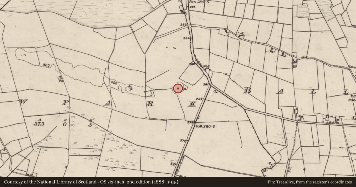 Ordnance Survey six-inch map, 2nd edition (1888–1915) covering the location of Enclosure, Lowpark, County Galway, with a pin at the register's coordinates