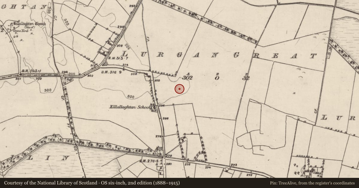 Ordnance Survey six-inch map, 2nd edition (1888–1915) covering the location of Ringfort - rath, Lurgan Great, County Galway, with a pin at the register's coordinates