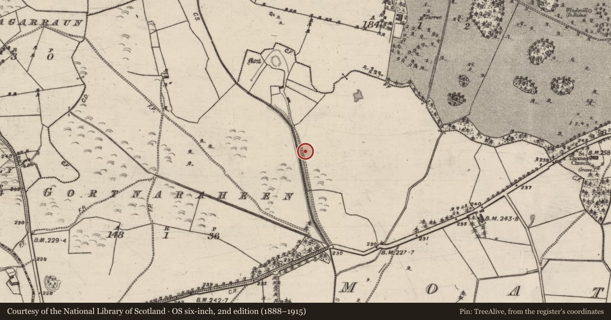 Ordnance Survey six-inch map, 2nd edition (1888–1915) covering the location of Quarry, Moaty, County Galway, with a pin at the register's coordinates
