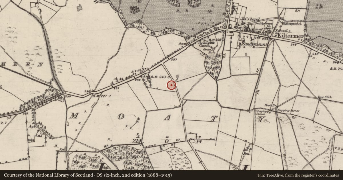 Ordnance Survey six-inch map, 2nd edition (1888–1915) covering the location of Quarry, Moaty, County Galway, with a pin at the register's coordinates