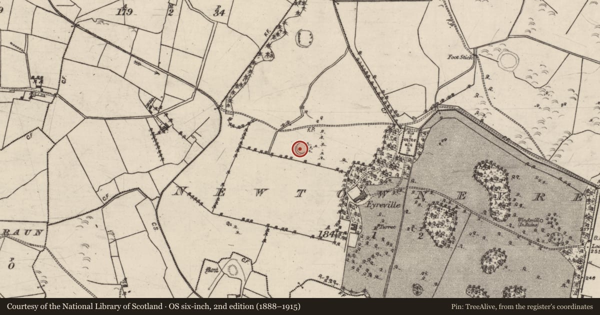 Ordnance Survey six-inch map, 2nd edition (1888–1915) covering the location of Ringfort - rath, Newtowneyre, County Galway, with a pin at the register's coordinates