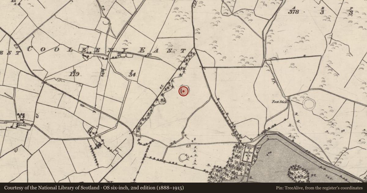 Ordnance Survey six-inch map, 2nd edition (1888–1915) covering the location of Ringfort - rath, Newtowneyre, County Galway, with a pin at the register's coordinates