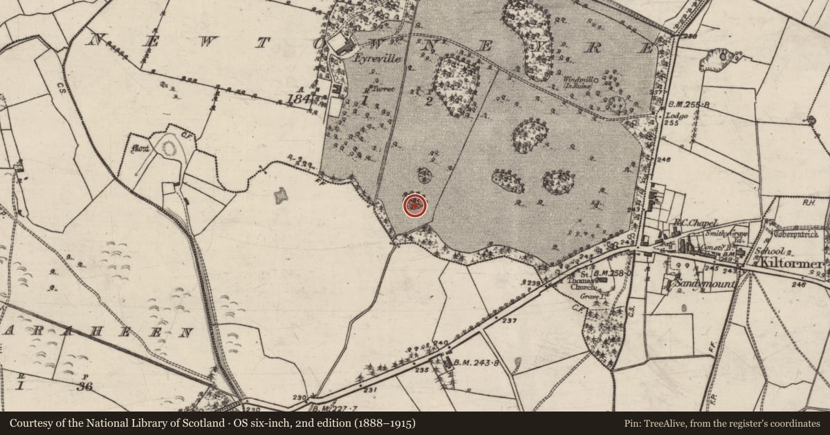 Ordnance Survey six-inch map, 2nd edition (1888–1915) covering the location of Designed landscape - tree-ring, Newtowneyre, County Galway, with a pin at the register's coordinates
