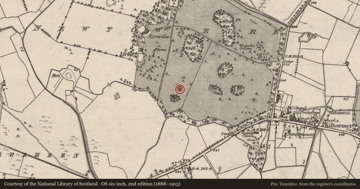 Ordnance Survey six-inch map, 2nd edition (1888–1915) covering the location of Designed landscape - tree-ring, Newtowneyre, County Galway, with a pin at the register's coordinates