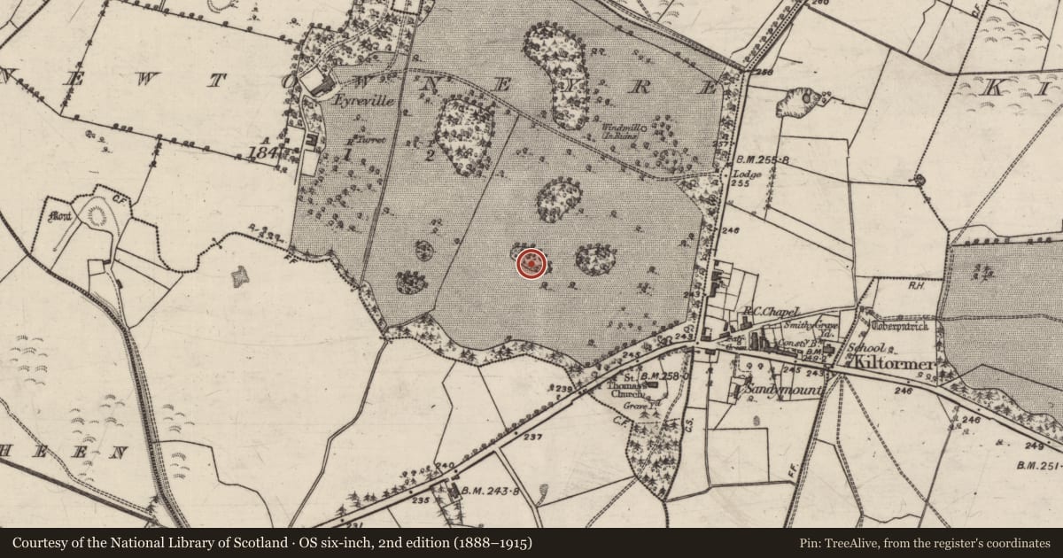 Ordnance Survey six-inch map, 2nd edition (1888–1915) covering the location of Designed landscape feature, Newtowneyre, County Galway, with a pin at the register's coordinates