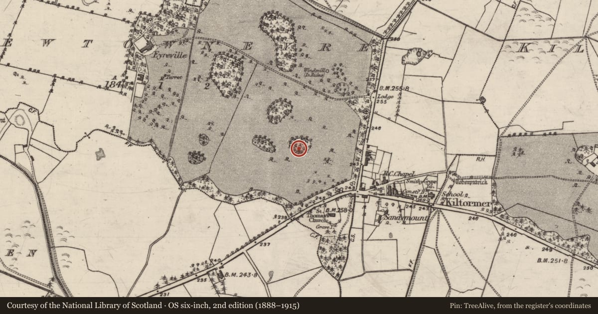 Ordnance Survey six-inch map, 2nd edition (1888–1915) covering the location of Designed landscape feature, Newtowneyre, County Galway, with a pin at the register's coordinates