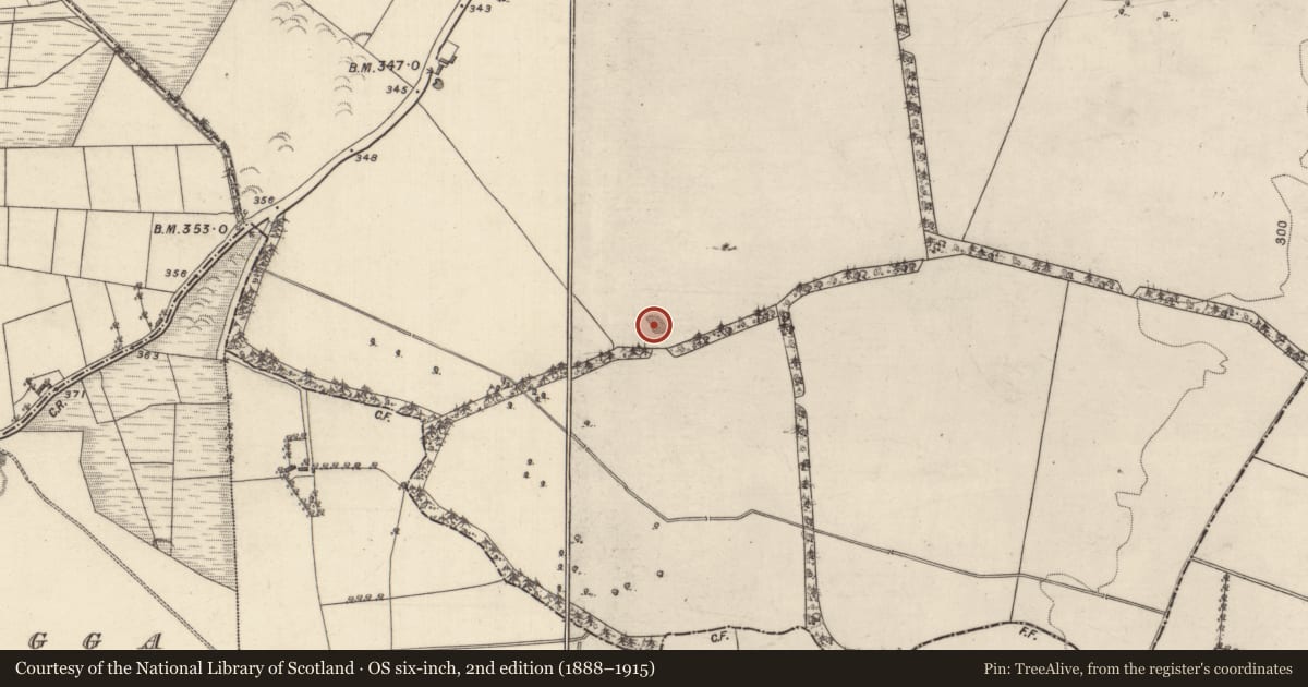 Ordnance Survey six-inch map, 2nd edition (1888–1915) covering the location of Quarry, Oatfield, County Galway, with a pin at the register's coordinates