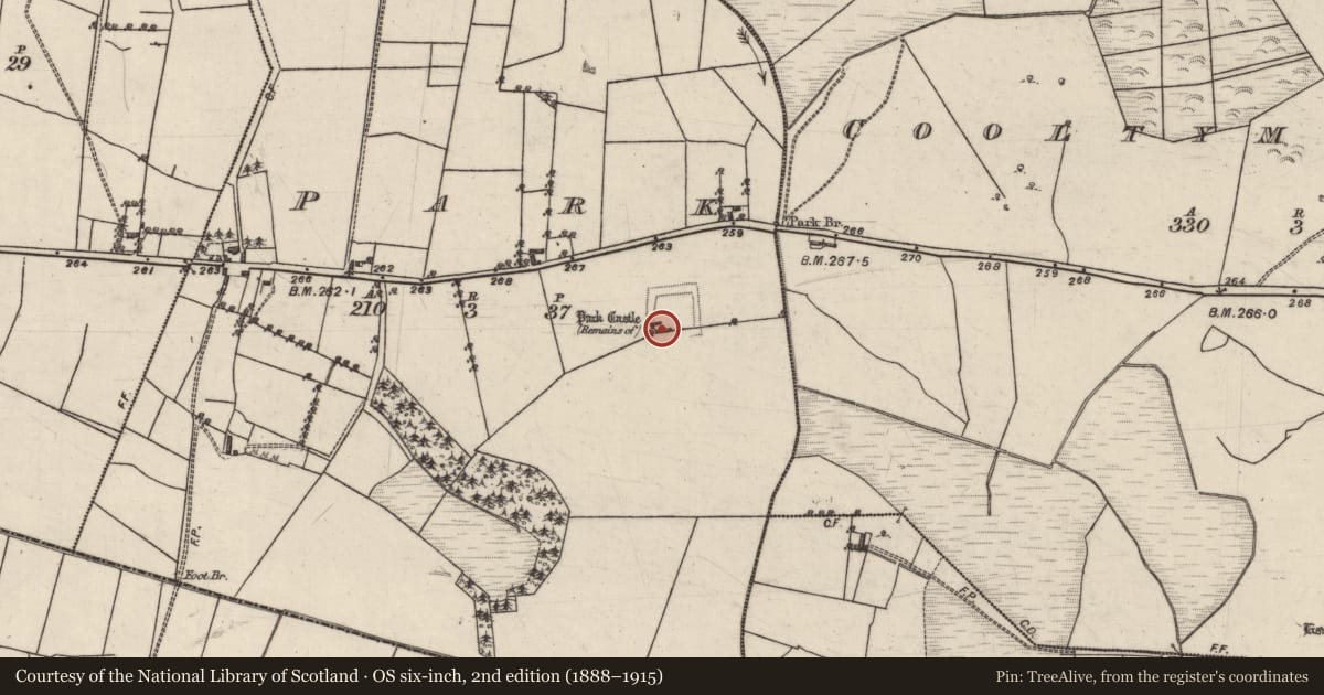 Ordnance Survey six-inch map, 2nd edition (1888–1915) covering the location of Castle - hall-house, Park, County Galway, with a pin at the register's coordinates
