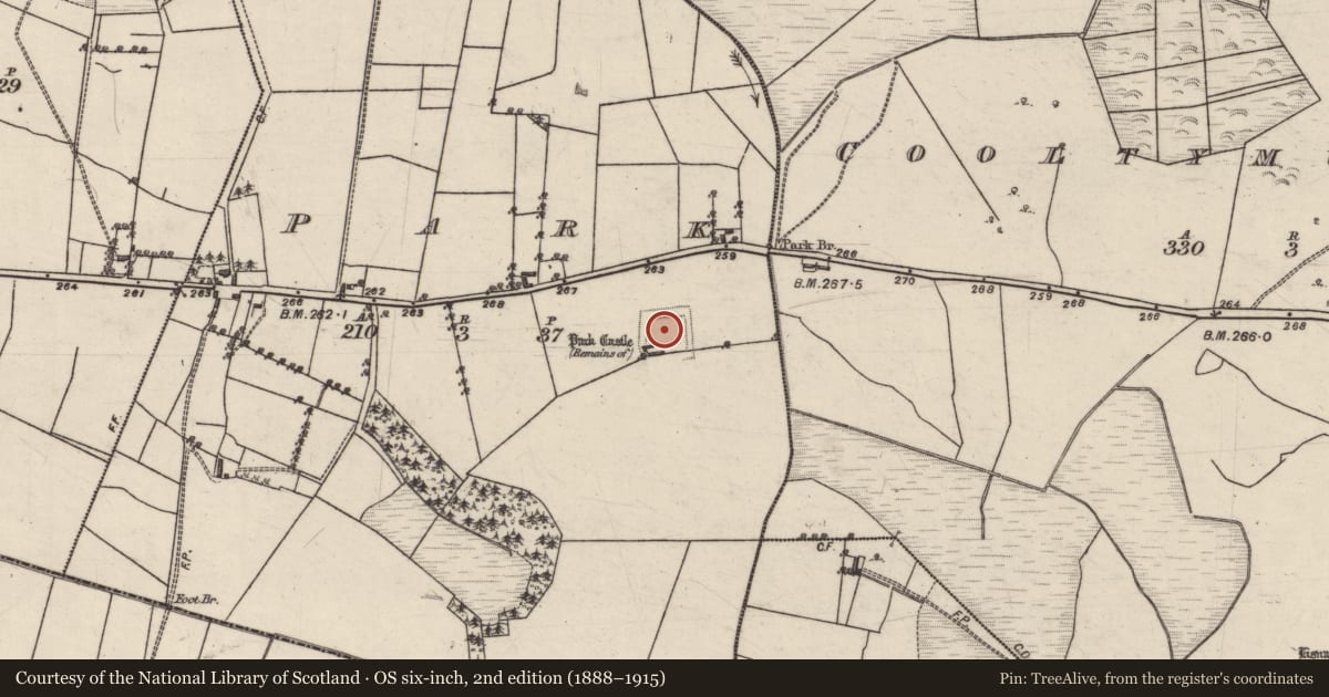 Ordnance Survey six-inch map, 2nd edition (1888–1915) covering the location of Moated site, Park, County Galway, with a pin at the register's coordinates