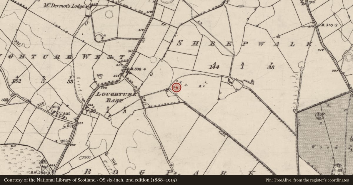 Ordnance Survey six-inch map, 2nd edition (1888–1915) covering the location of Ringfort - rath, Sheepwalk, County Galway, with a pin at the register's coordinates