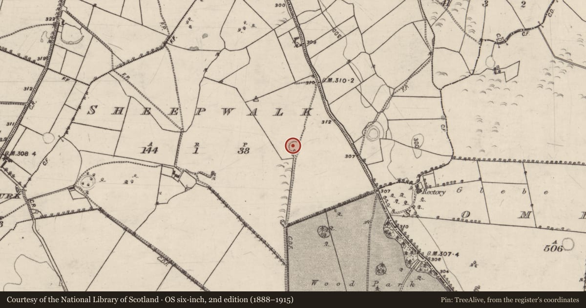 Ordnance Survey six-inch map, 2nd edition (1888–1915) covering the location of Ringfort - rath, Sheepwalk, County Galway, with a pin at the register's coordinates
