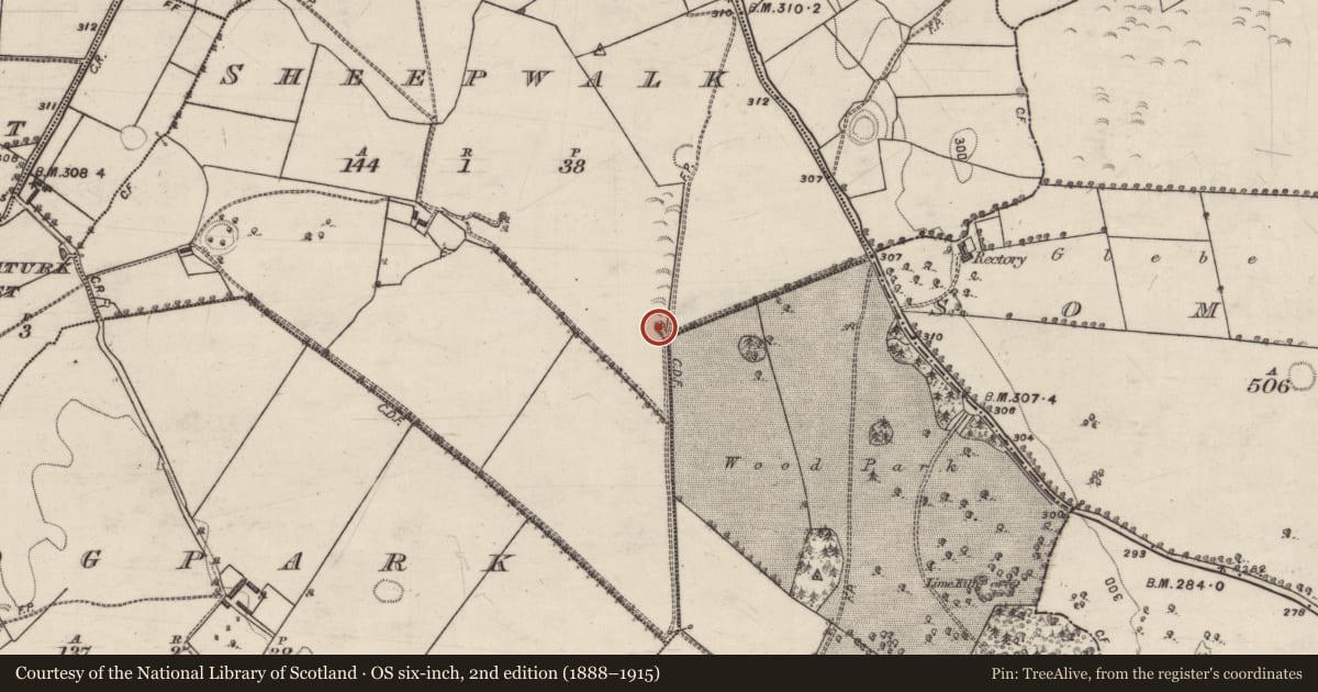 Ordnance Survey six-inch map, 2nd edition (1888–1915) covering the location of Quarry, Sheepwalk, County Galway, with a pin at the register's coordinates