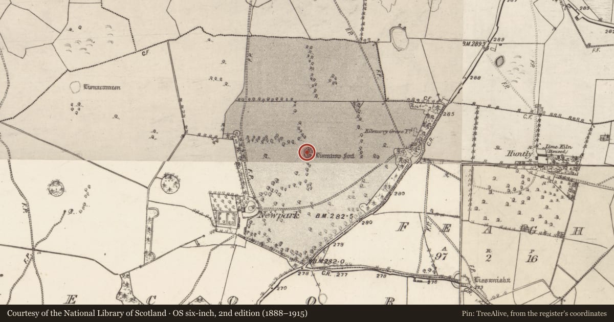 Ordnance Survey six-inch map, 2nd edition (1888–1915) covering the location of Ringfort - rath, Skecoor, County Galway, with a pin at the register's coordinates