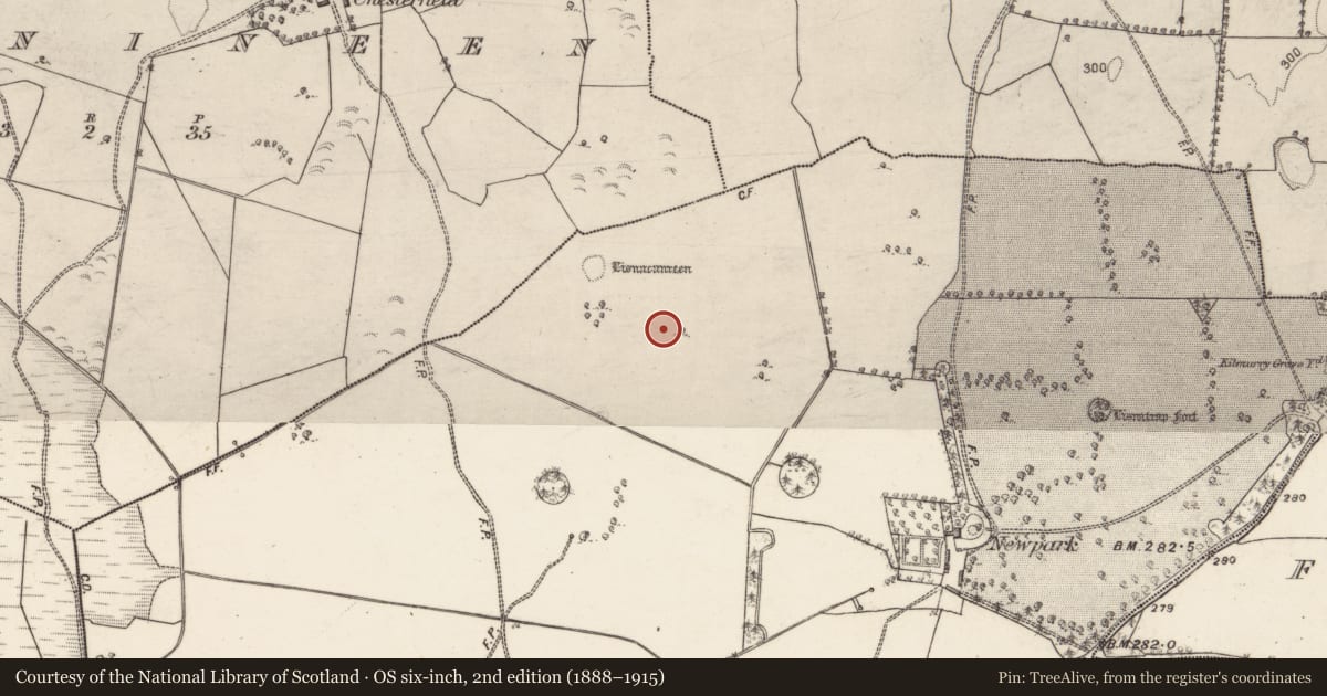 Ordnance Survey six-inch map, 2nd edition (1888–1915) covering the location of Field system, Skecoor, County Galway, with a pin at the register's coordinates