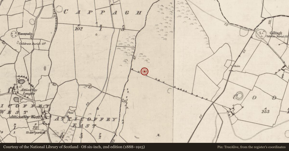 Ordnance Survey six-inch map, 2nd edition (1888–1915) covering the location of Ringfort - rath, Somerset, County Galway, with a pin at the register's coordinates