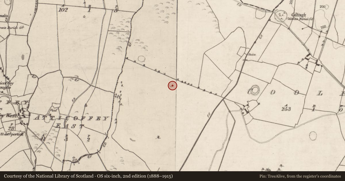 Ordnance Survey six-inch map, 2nd edition (1888–1915) covering the location of Quarry, Somerset, County Galway, with a pin at the register's coordinates
