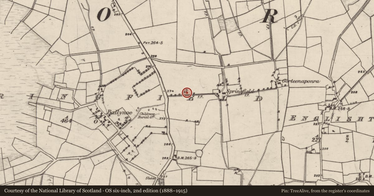 Ordnance Survey six-inch map, 2nd edition (1888–1915) covering the location of Enclosure, Springfield, County Galway, with a pin at the register's coordinates