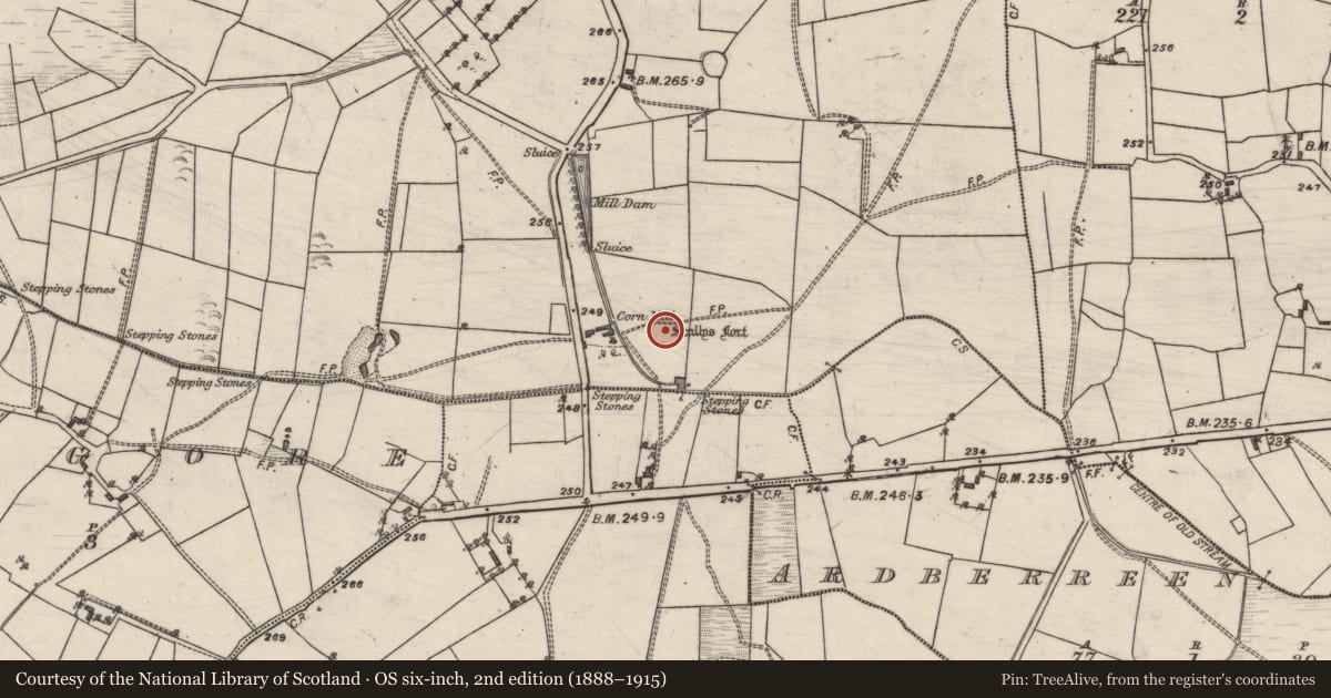 Ordnance Survey six-inch map, 2nd edition (1888–1915) covering the location of Ringfort - rath, Springfield, County Galway, with a pin at the register's coordinates
