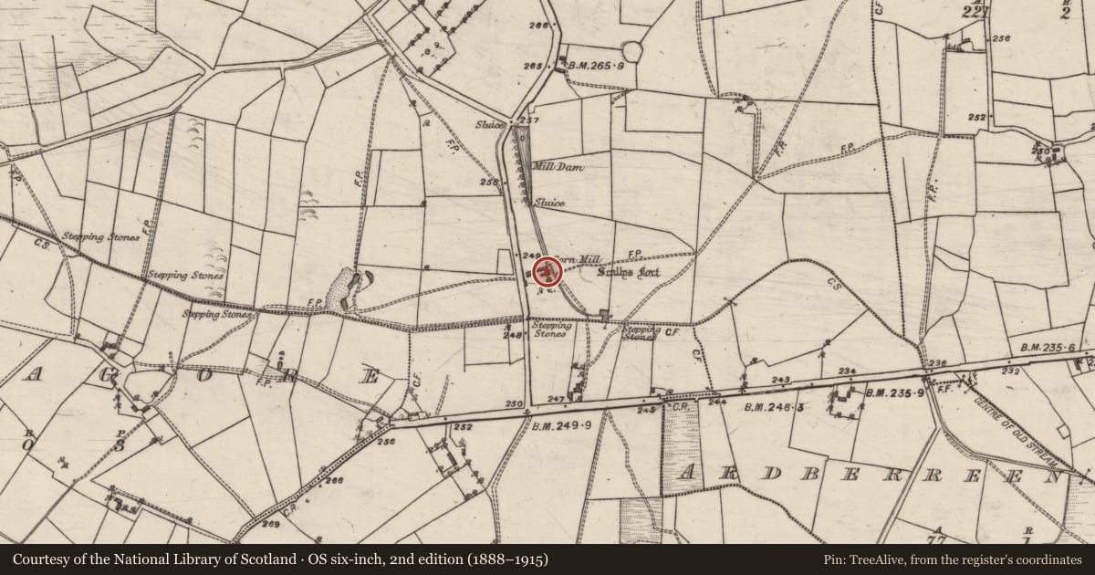 Ordnance Survey six-inch map, 2nd edition (1888–1915) covering the location of Mill - corn, Springfield, County Galway, with a pin at the register's coordinates
