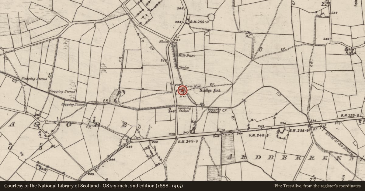 Ordnance Survey six-inch map, 2nd edition (1888–1915) covering the location of Kiln - corn-drying, Springfield, County Galway, with a pin at the register's coordinates