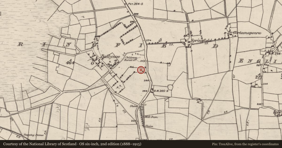 Ordnance Survey six-inch map, 2nd edition (1888–1915) covering the location of Mill - corn, Springfield, County Galway, with a pin at the register's coordinates