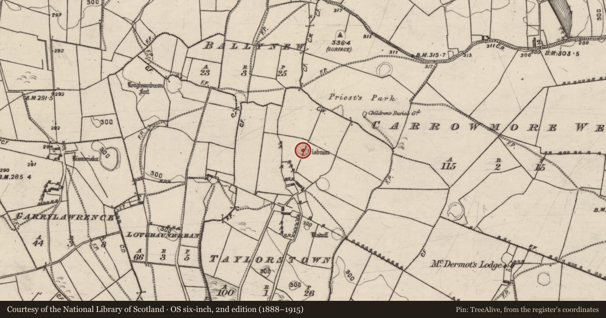 Ordnance Survey six-inch map, 2nd edition (1888–1915) covering the location of Ringfort - rath, Taylorstown, County Galway, with a pin at the register's coordinates
